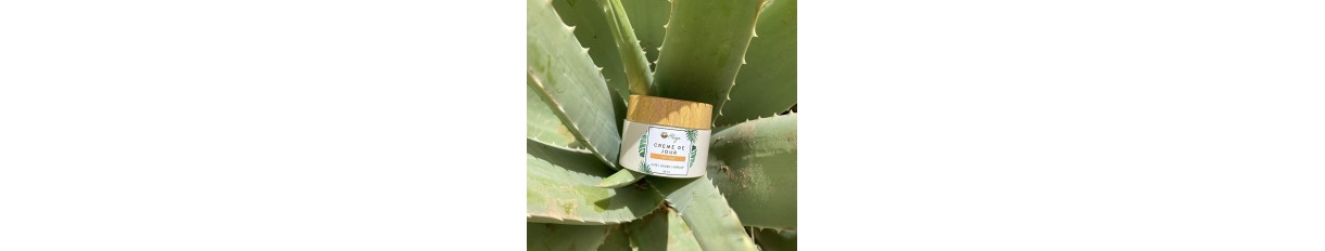 Moisturizers (Day & Night)